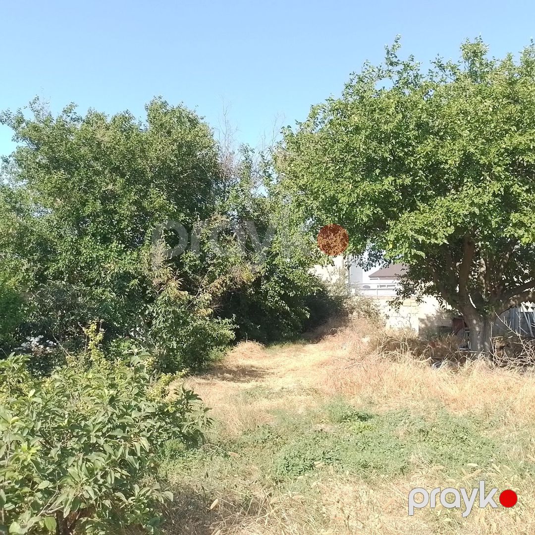 Satılır torpaq 1600 sot — Torpaq, Bakı (4)