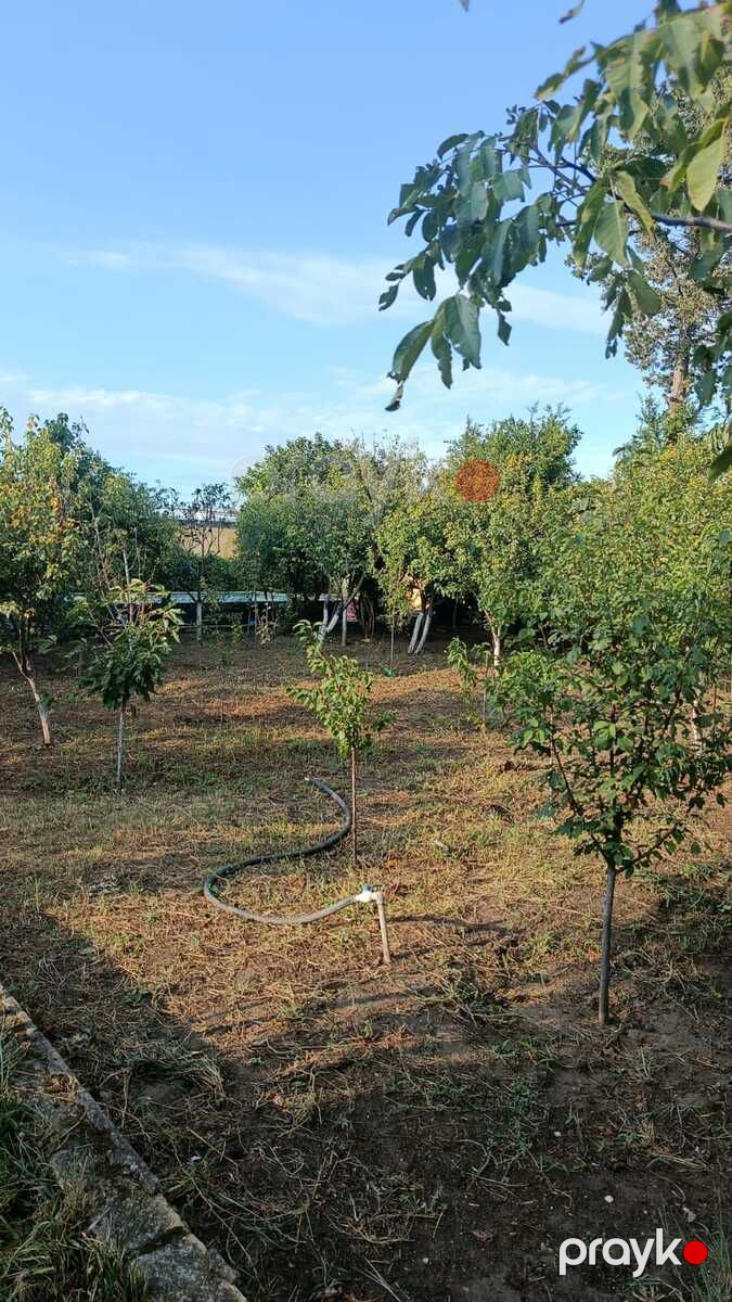 Satılır 7 otaqlı həyət evi/bağ evi 250 m² — Ev, villa, Bakı (2)