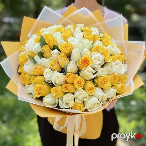 101 sarı və ağ qızılgül - kod 7474 — Bitkilər, Bakı (3)