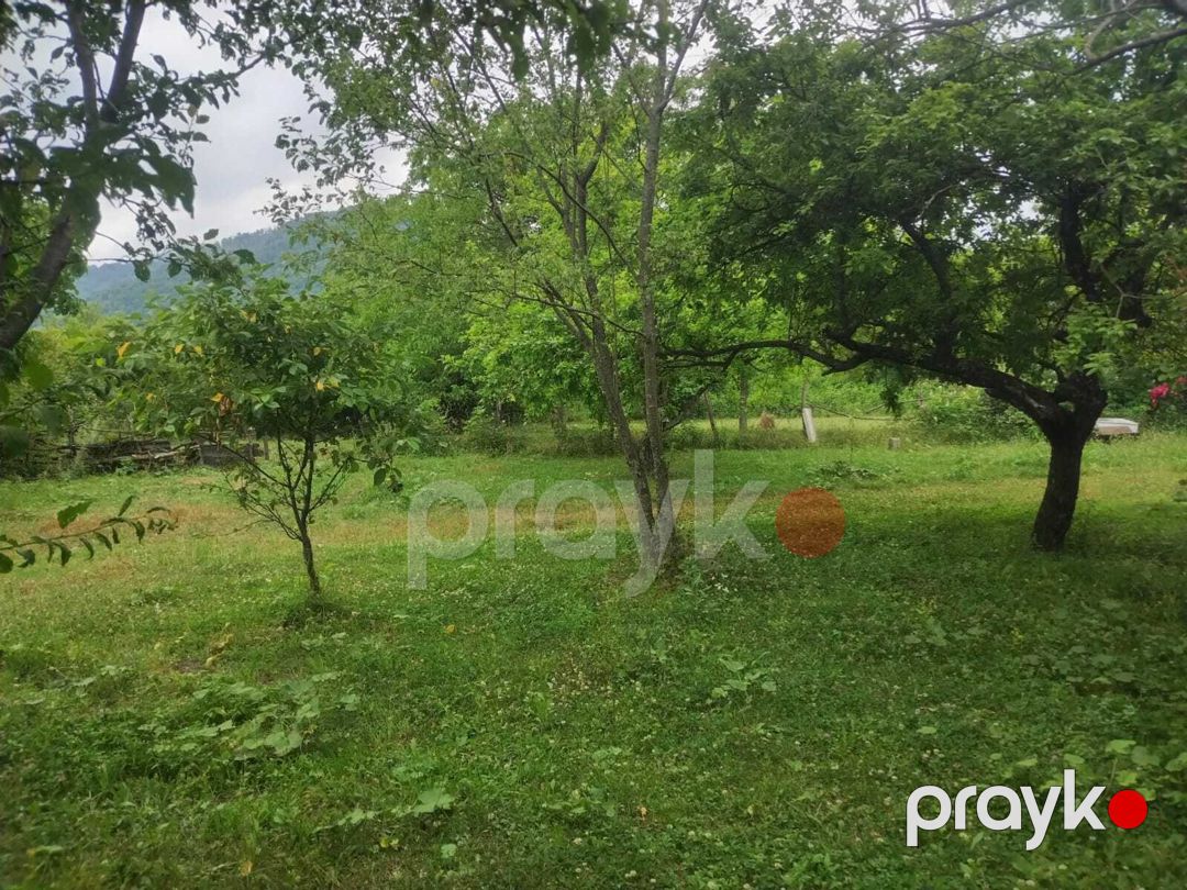 Satılır torpaq 56 sot — Torpaq, Qəbələ (5)