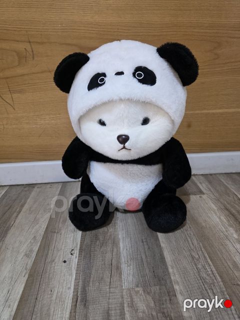 Oyuncaq panda — Bakı