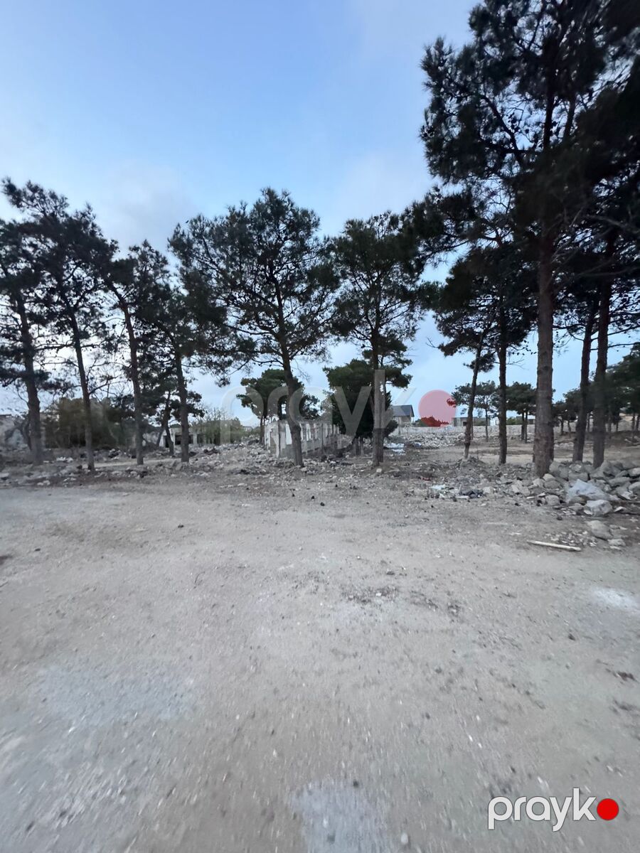Satılır torpaq 144 sot — Torpaq, Bakı (5)