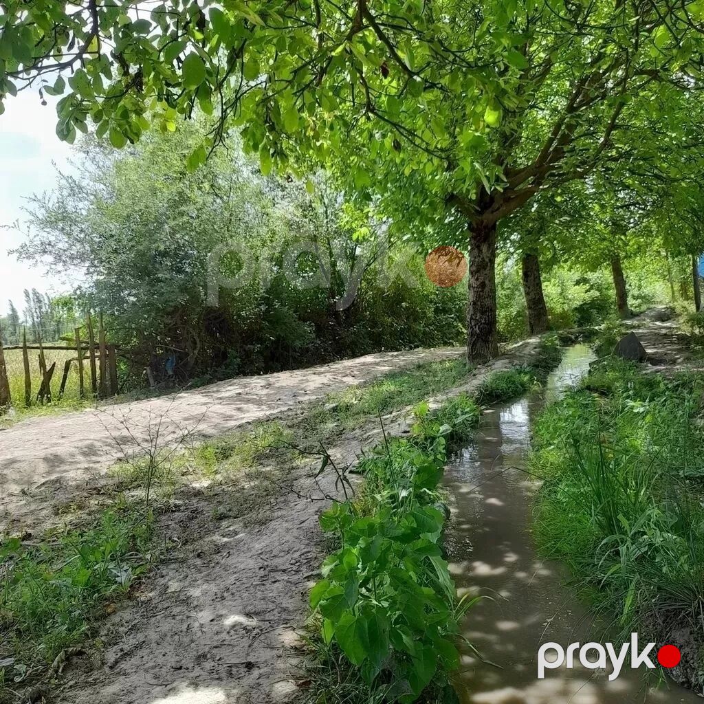3 otaqlı, 130 kv. m, Kredit yoxdur, Təmirsiz — Ev, villa, Qusar (5)
