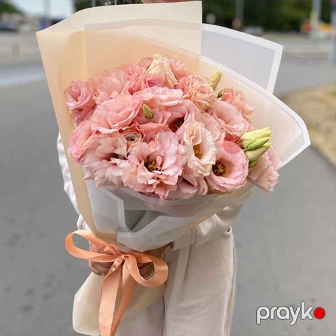 Eustoma - code:2019