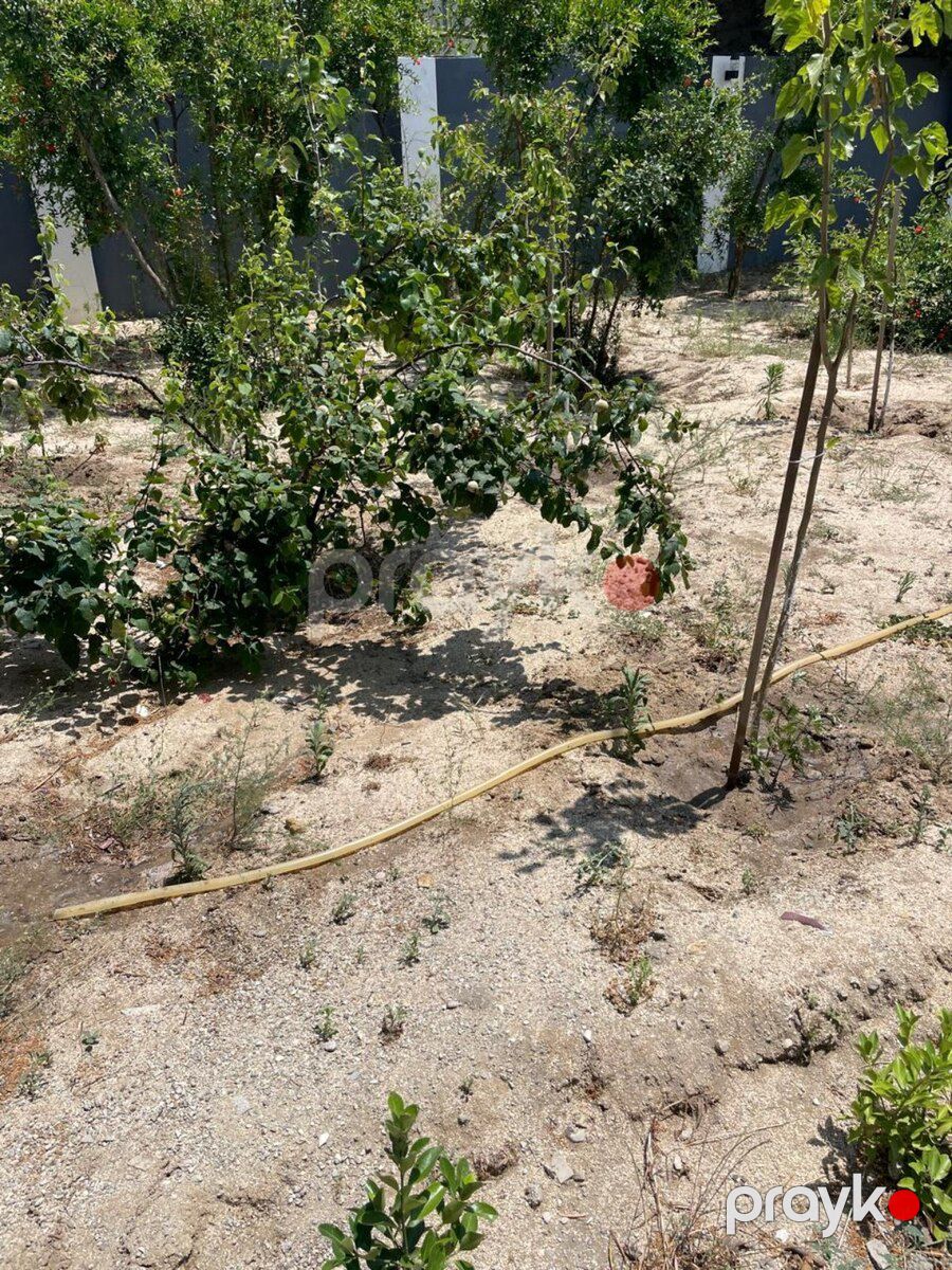 Həyət evi, Sumqayıt ş — Ev, villa, Sumqayıt (2)