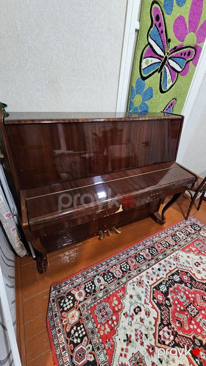 Pianino Kavkaz — Musiqiə alətləri, Salyan (3)