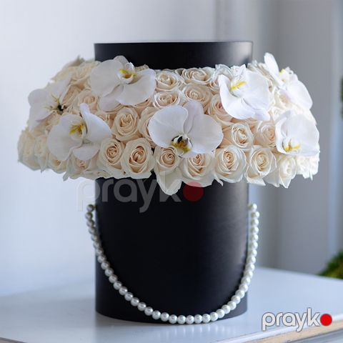 Qızılgül və Orxideya - code:5062
