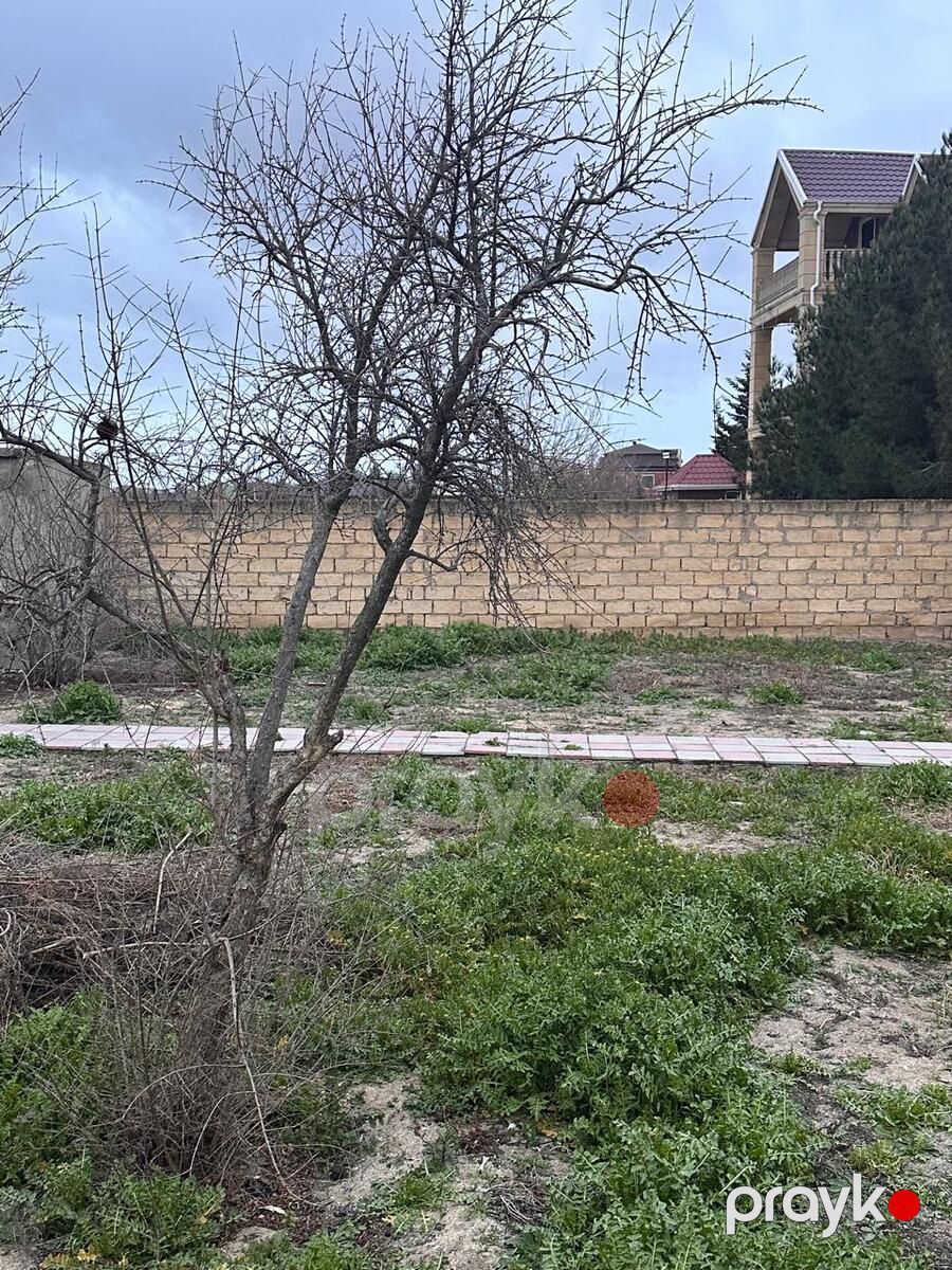 Satılır torpaq 2 sot — Torpaq, Bakı (3)