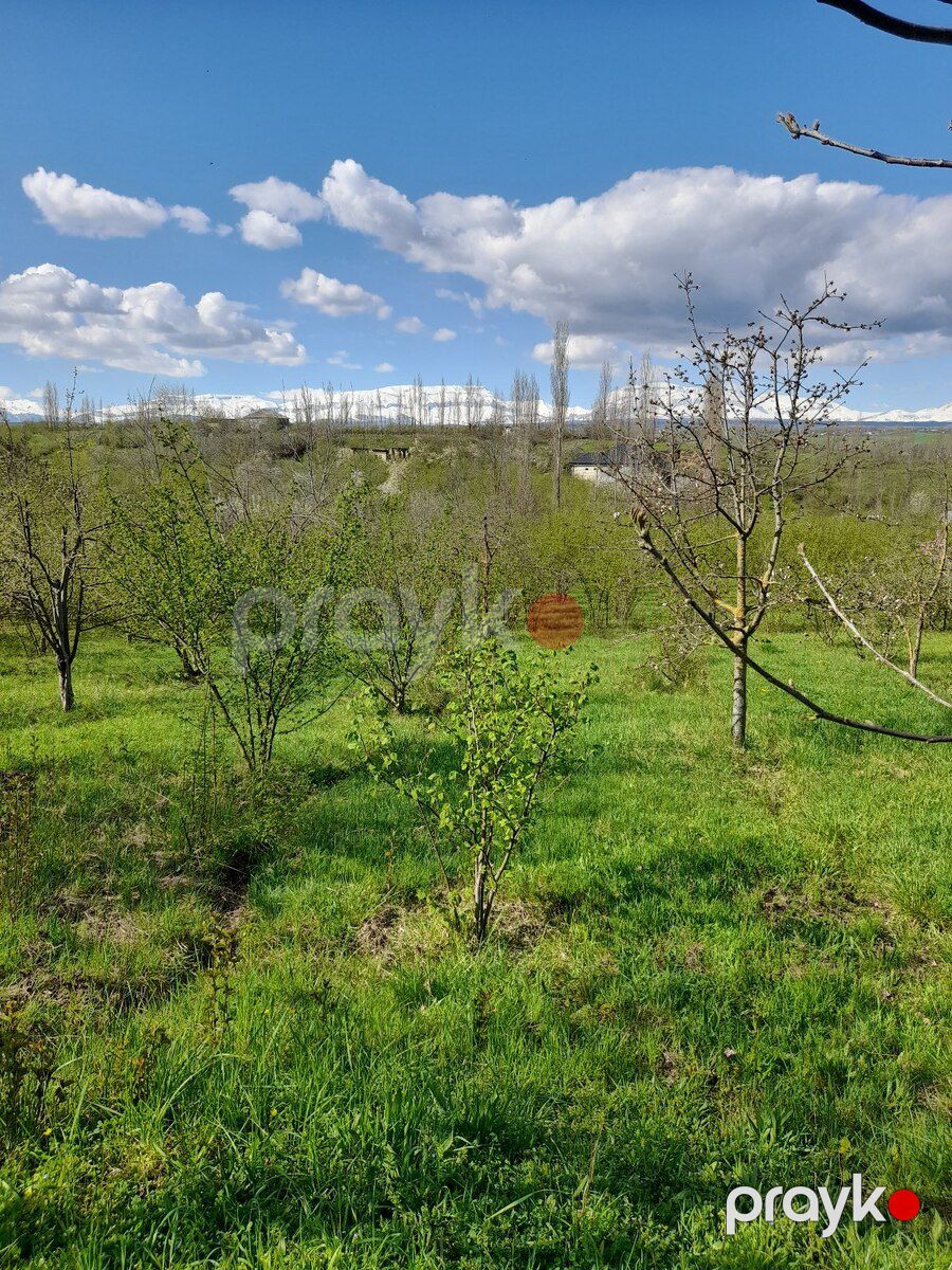 12 sot torpaq sahəsi, Qusar r — Torpaq, Qusar (6)