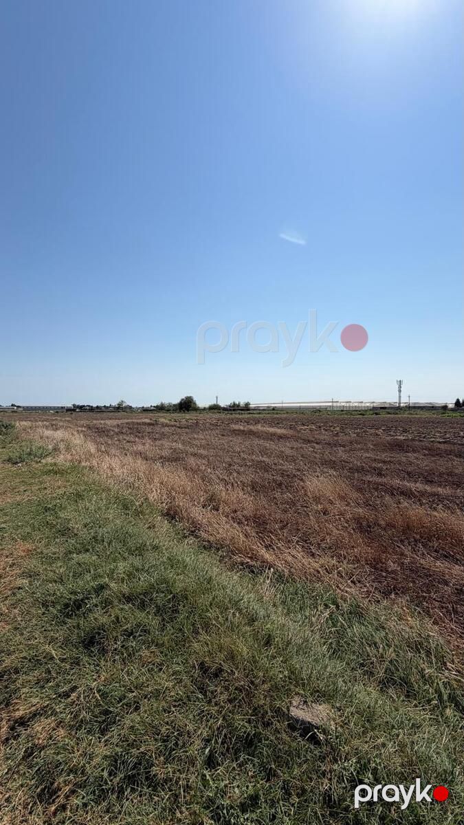 Satılır torpaq 300 sot — Torpaq, Bakı (6)