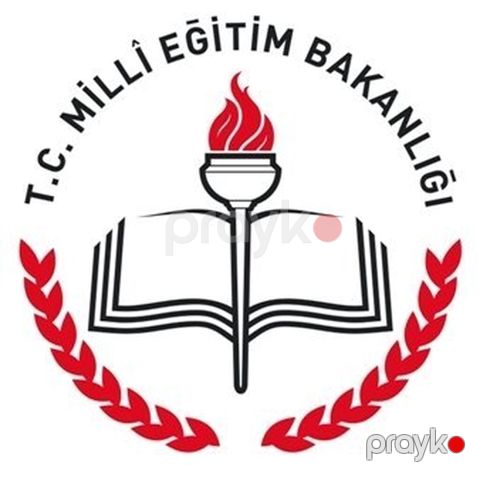 Yalangoz Liseyi – Təlim məqsədli xüsusi dəst Təsvir: - Yalangoz — Bakı