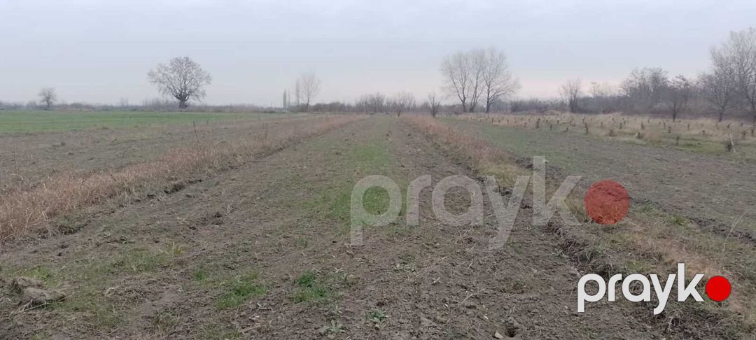Satılır torpaq 440 sot — Torpaq, Xaçmaz (9)