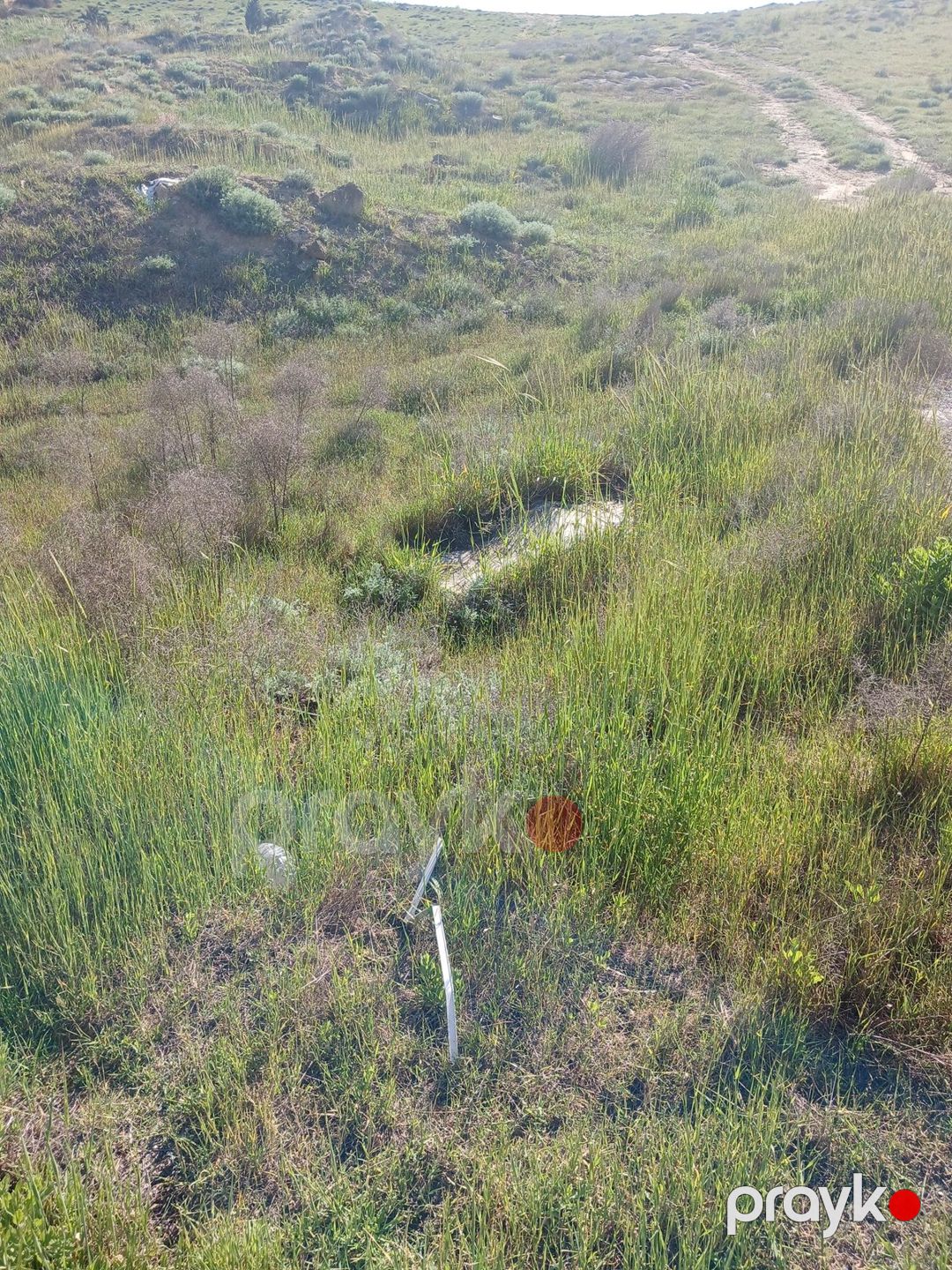 Satılır torpaq 65 sot — Torpaq, Bakı (6)