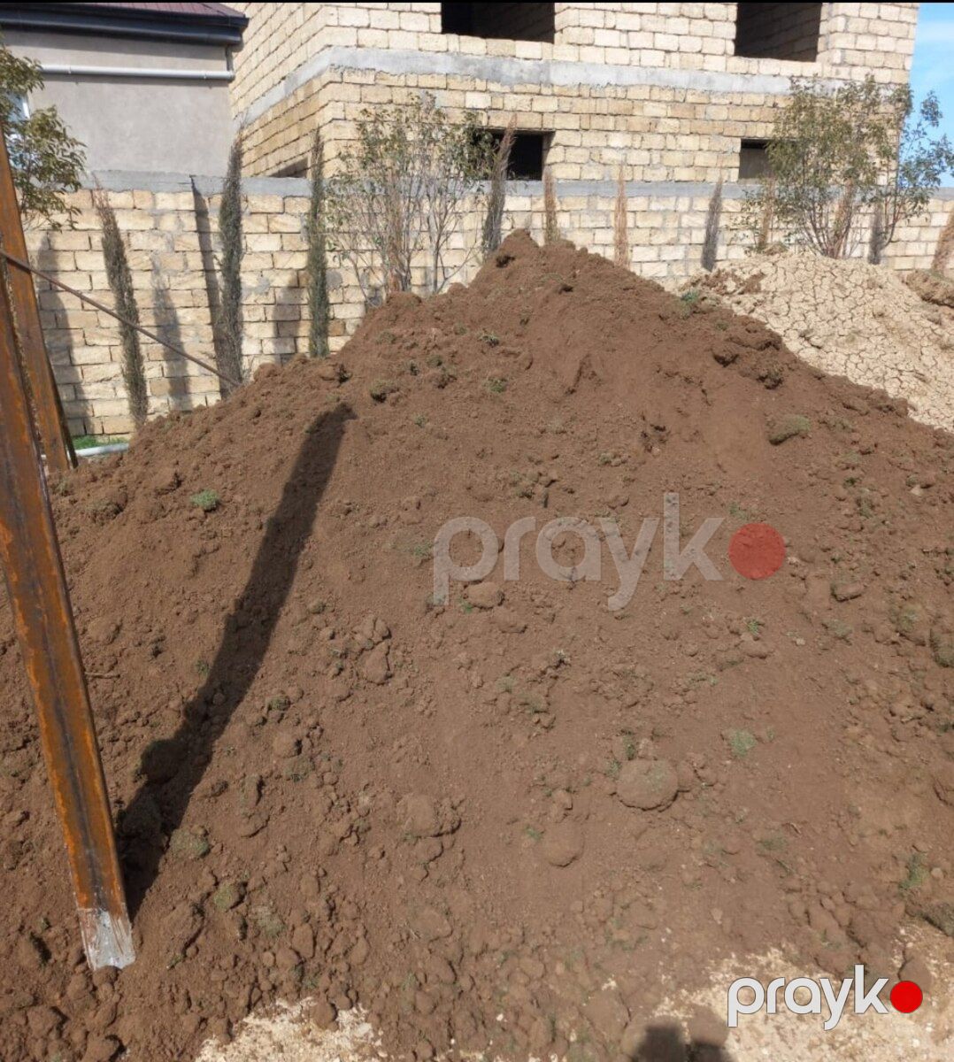 Qara torpaq-peyin — Dacha və bağ, Şamaxı (5)