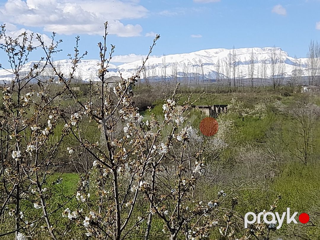 12 sot torpaq sahəsi, Qusar r — Torpaq, Qusar (10)