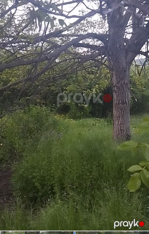 4 sot torpaq sahəsi, Quba r — Quba