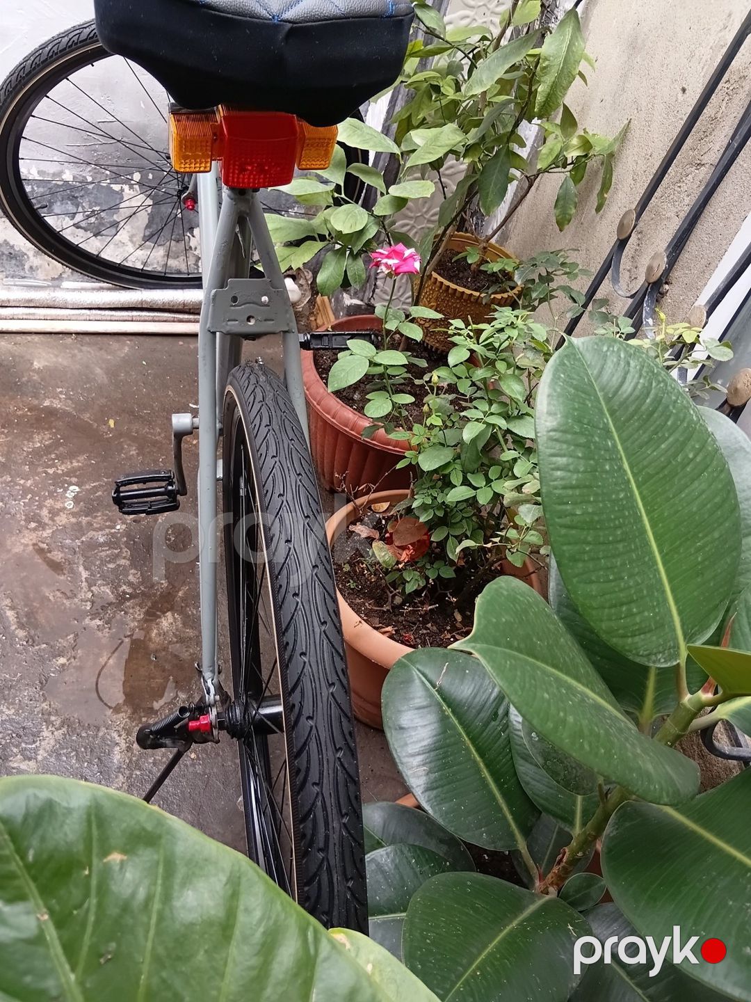 Velosiped — Velosipedlər, Bakı (5)