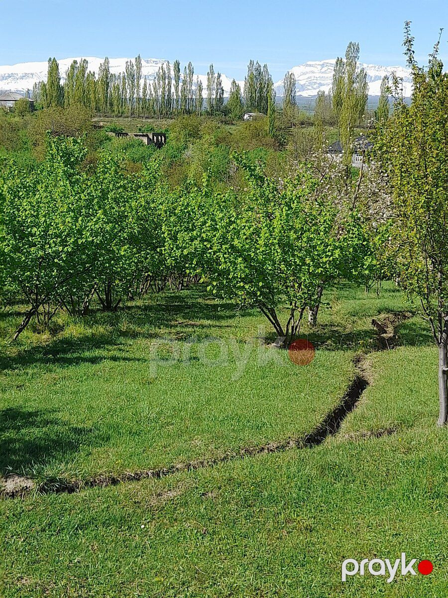 12 sot torpaq sahəsi, Qusar r — Torpaq, Qusar (2)