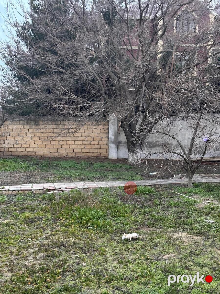 Satılır torpaq 3 sot — Torpaq, Bakı (4)