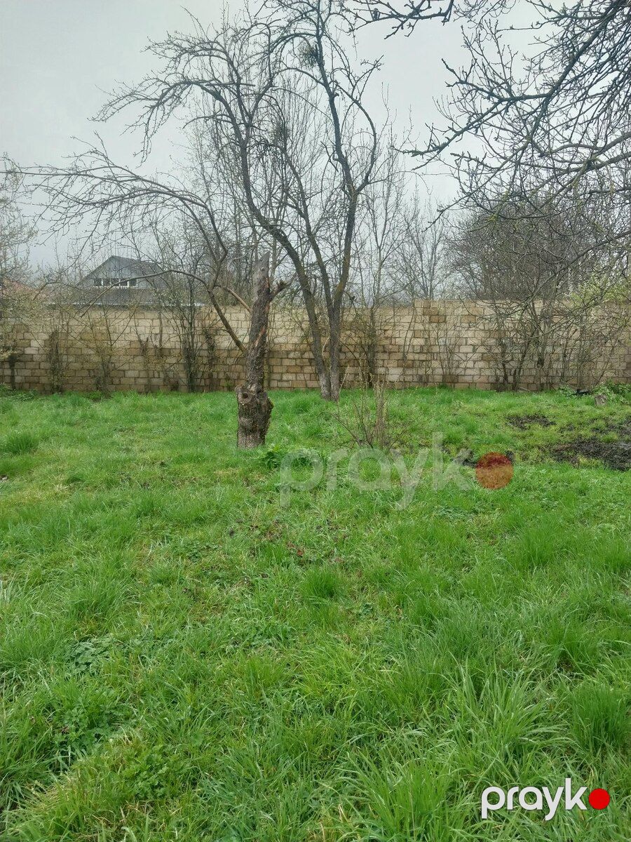 10 sot torpaq sahəsi, Quba r — Torpaq, Quba (2)