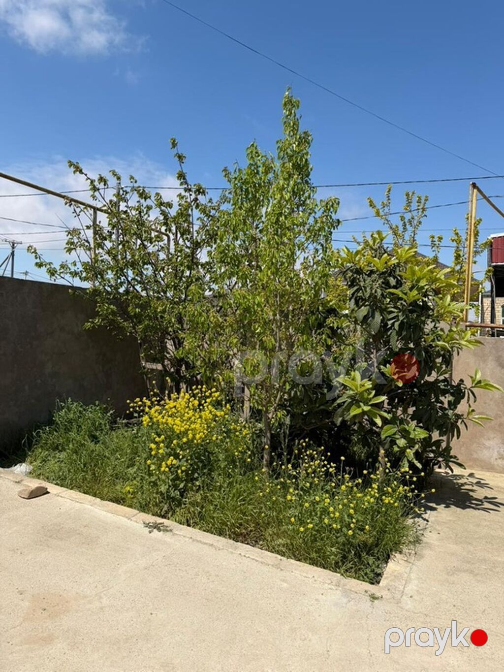 3 otaqlı, 90 kv. m, Orta təmir — Ev, villa, Masazır (4)
