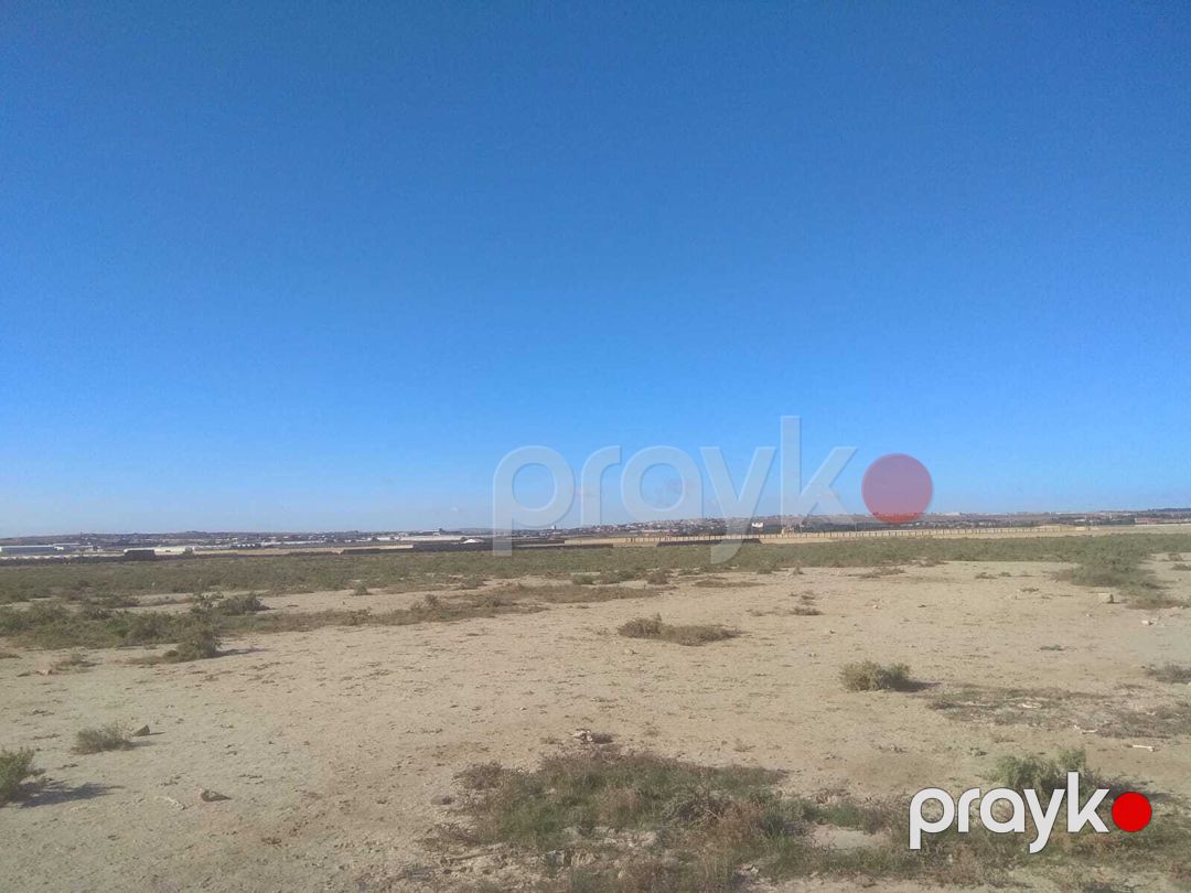 Satılır torpaq 553 sot — Torpaq, Bakı (6)