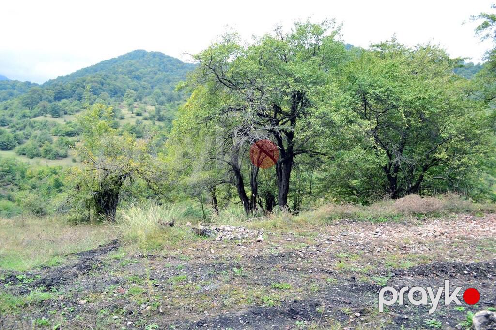 80 sot torpaq sahəsi, Quba r — Torpaq, Quba (3)