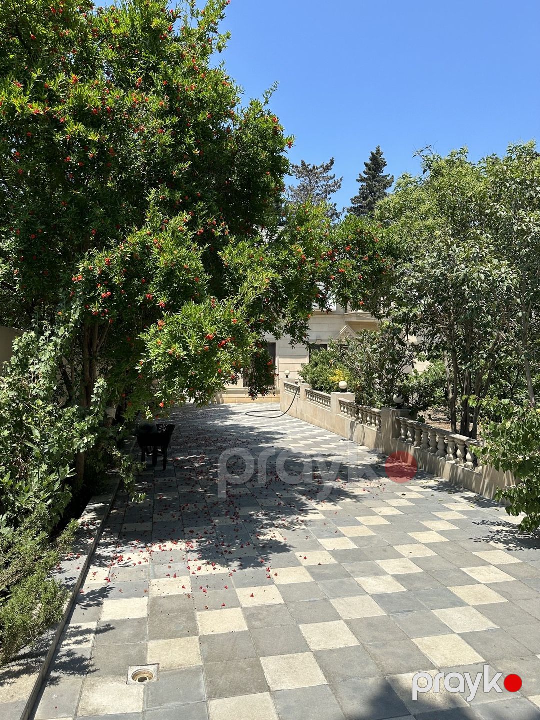 İcarəyə verilir 4 otaqlı həyət evi/bağ evi 250 m² — Ev, villa, Bakı (4)