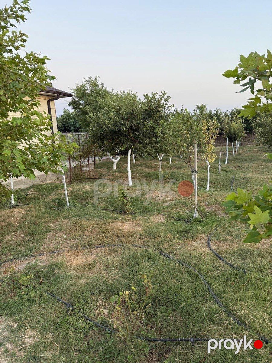 Satılır 1 otaqlı həyət evi/bağ evi 45 m² — Ev, villa, Bakı (5)