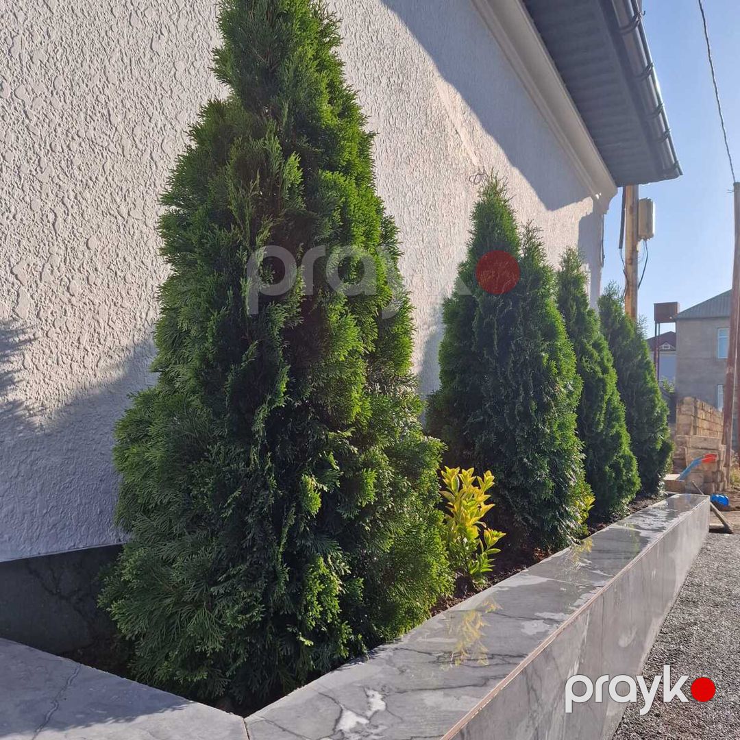 Satılır 7 otaqlı həyət evi/bağ evi 450 m² — Ev, villa, Bakı (10)