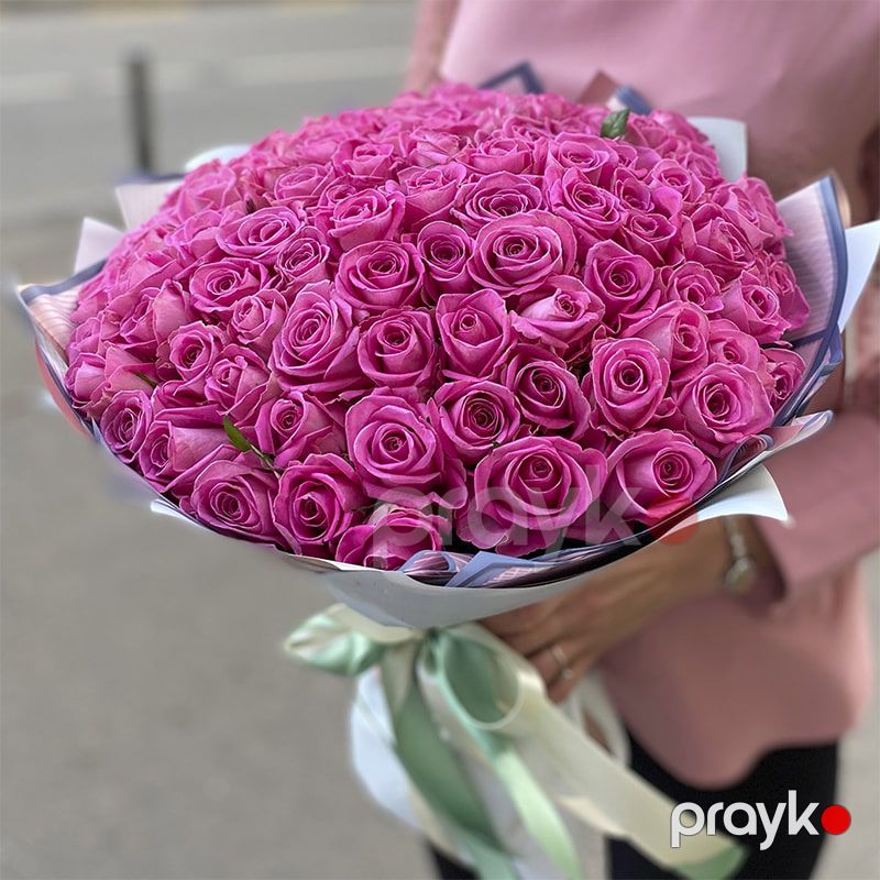 101 Qızılgül - code:5008 — Bitkilər, Bakı (3)