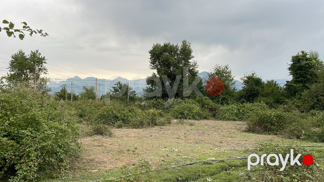 Satılır torpaq 7 sot — Torpaq, Qəbələ (2)