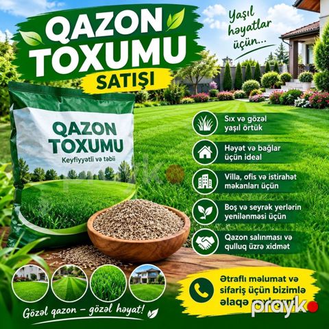 Qazon Toxumu Satışı Həyətinizdə, bağınızda, villanızda və — Digah