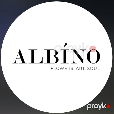 Albino.Az — Bakı