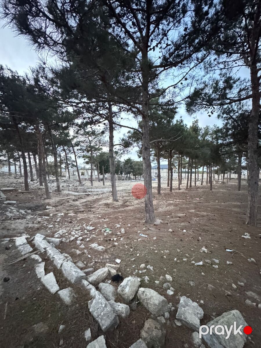 Satılır torpaq 144 sot — Torpaq, Bakı (9)