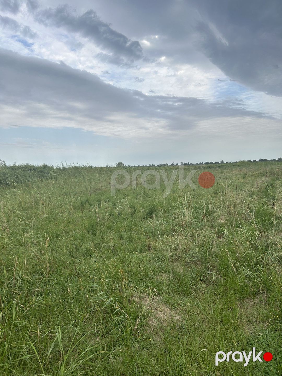 1200 sot torpaq sahəsi, Salyan r — Torpaq, Salyan (4)