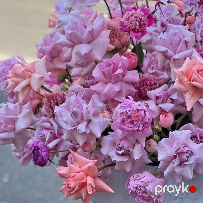Güllərdən Kompozisiya - code:8043 — Bitkilər, Bakı (2)