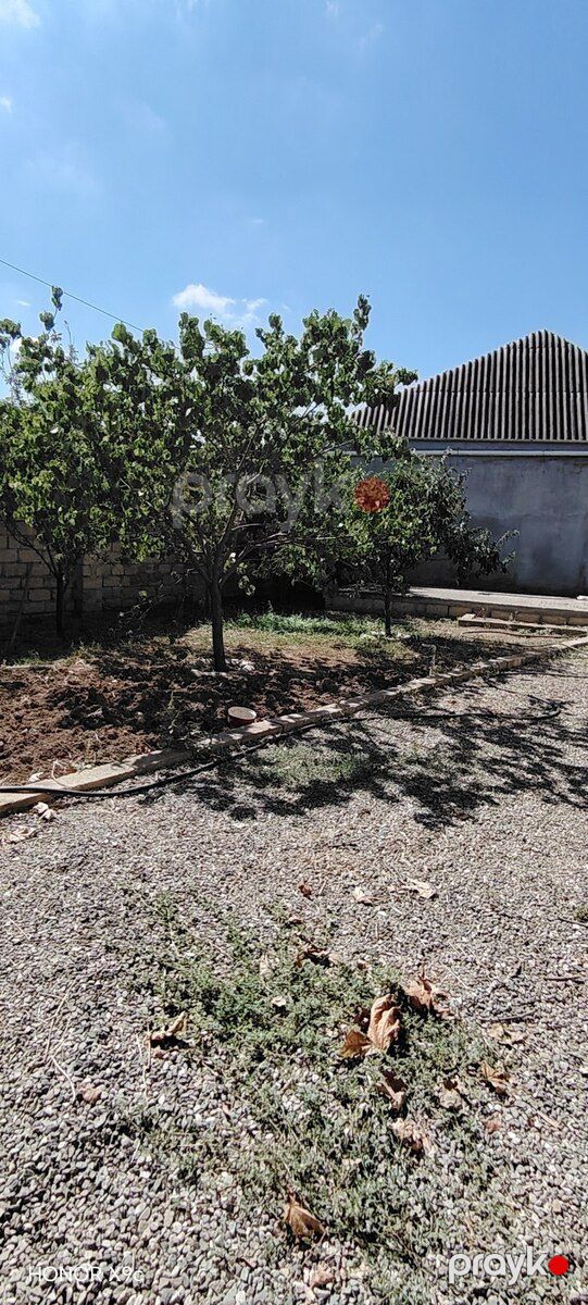 Həyət evi kirayə verilir, Gəncə ş — Ev, villa, Gəncə (2)
