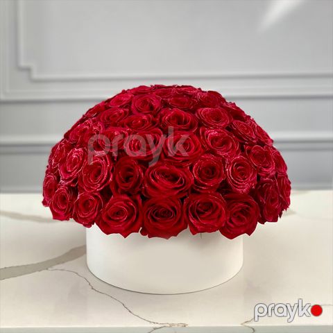 101 Qızılgül - code:5042