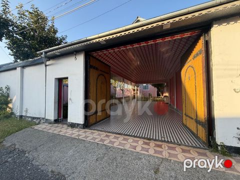 Bağ evi kirayə verilir, Qəbələ ş — Qəbələ
