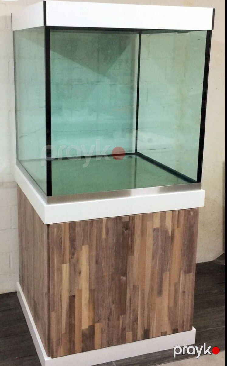 Akvarium — Akvariumlar və balıqlar, Sumqayıt (3)
