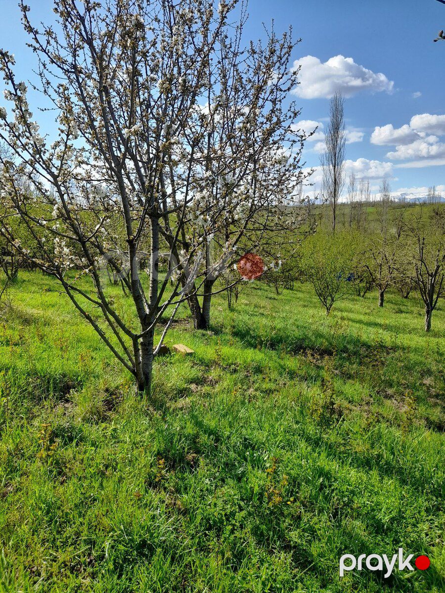 12 sot torpaq sahəsi, Qusar r — Torpaq, Qusar (8)