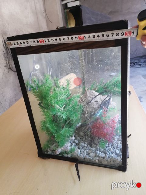 Akvarium — Bakı