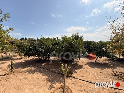 Satılır torpaq 5 sot — Bakı