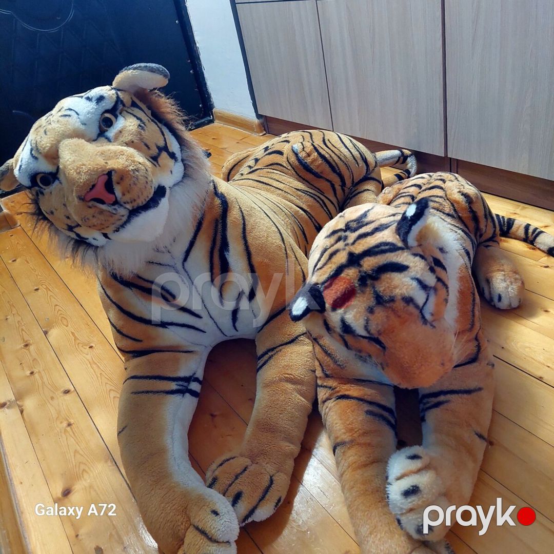 Oyuncaq pələng — Oyuncaqlar, Bakı (2)