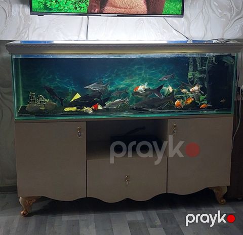 Akvarium — Sumqayıt