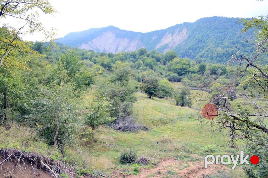 80 sot torpaq sahəsi, Quba r — Torpaq, Quba (6)