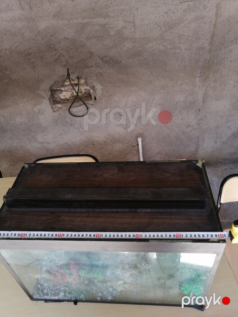 Akvarium — Akvariumlar və balıqlar, Bakı (3)
