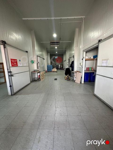 İcarəyə verilir obyekt 650 m² — Xırdalan