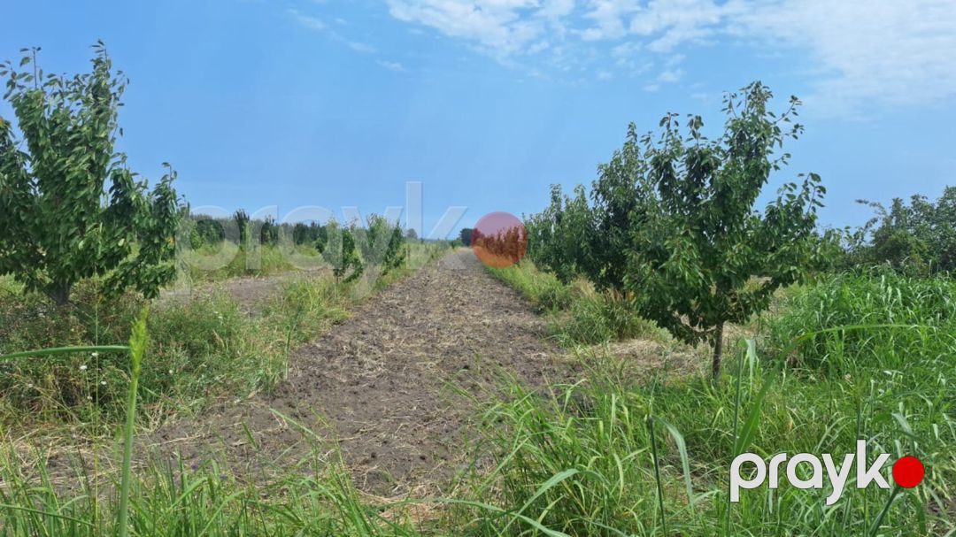 4.60 sot torpaq sahəsi, Xaçmaz r — Torpaq, Xaçmaz (2)